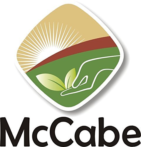 McCabe Organic Corn Tea - Roasted Corn Tea | USDA and CCOF Certified | Non-GMO Whole White Corn | Roasted and Packed in USA | 1.5 lbs (24 Oz) Pack of 3