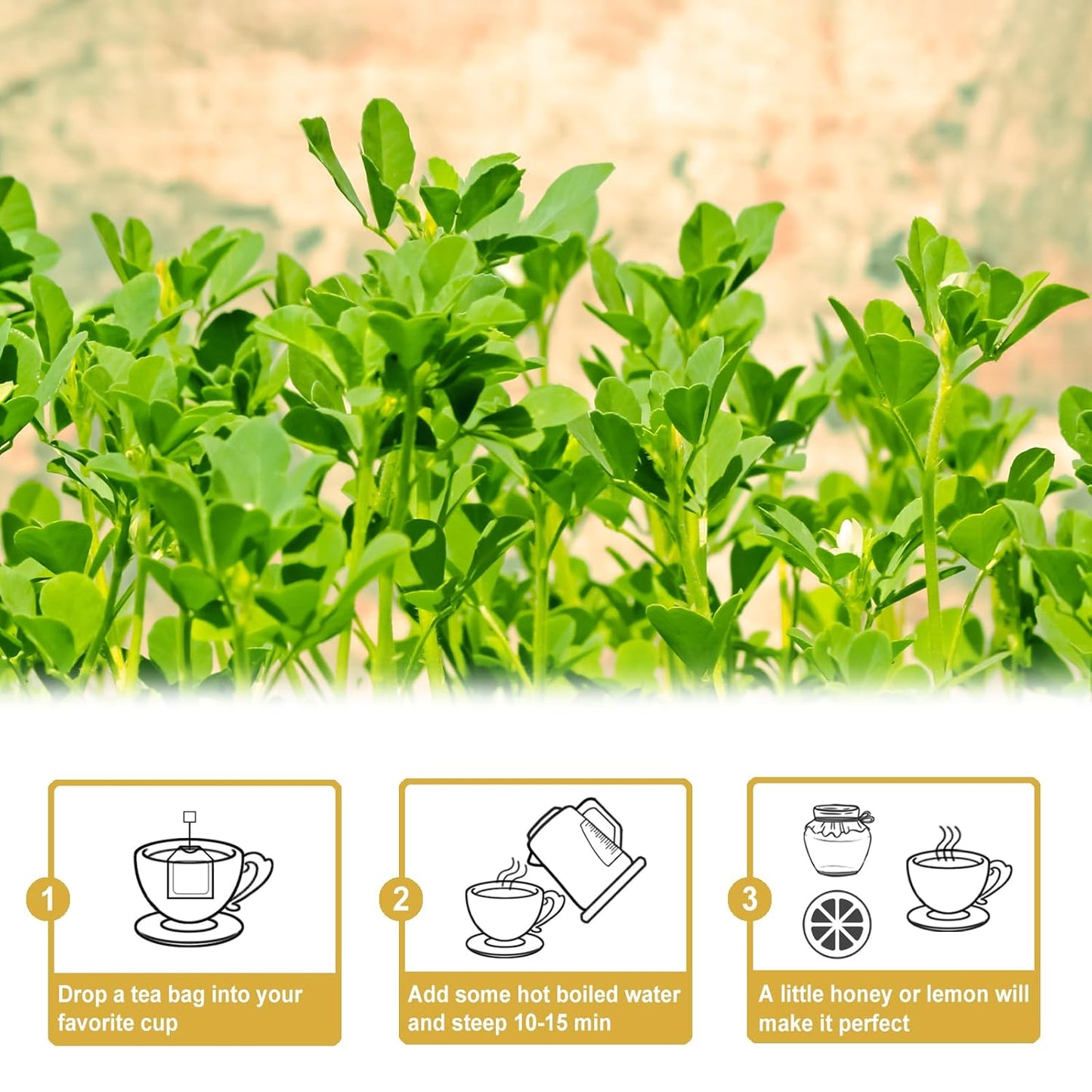 TEARELAE - Fenugreek Tea Bag - 3g x 50 Count - Premium Natural Fenugreek Seed Tea - Non-GMO - Caffeine-free - Support Digestion & Improve Heart Health