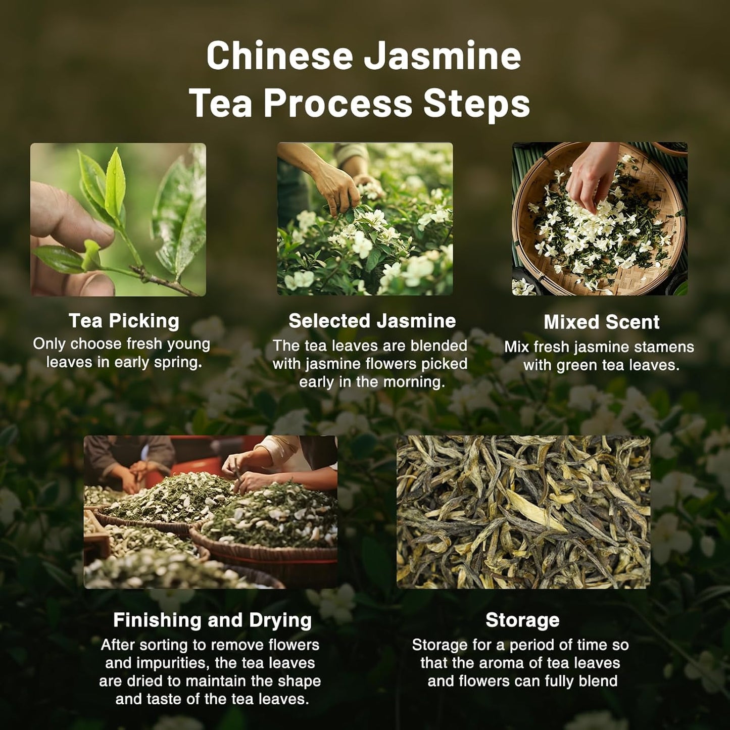 iTeaworld Jasmine Green Tea Loose Leaf Samplers Set, With Different Flowery Aromas, No Sweetener, Sweet After Taste, 4 Different Grades of Jasmine Tea Loose Leaf, 16 Pack/56g