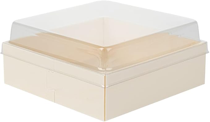 Taipei Clear Plastic Lid - Fits Square Poplar Straight Container - 100 count box
