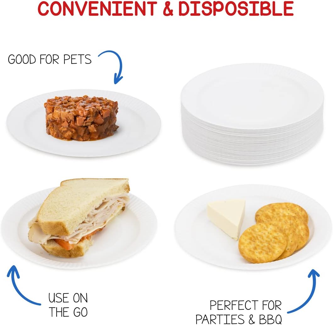 Hygloss Products Paper Plates - Uncoated White Plate - Use for Foodware, Events, Activities, Crafts Projects and More - Environmentally Friendly - Recyclable and Disposable - 9-Inches - 200 Pack