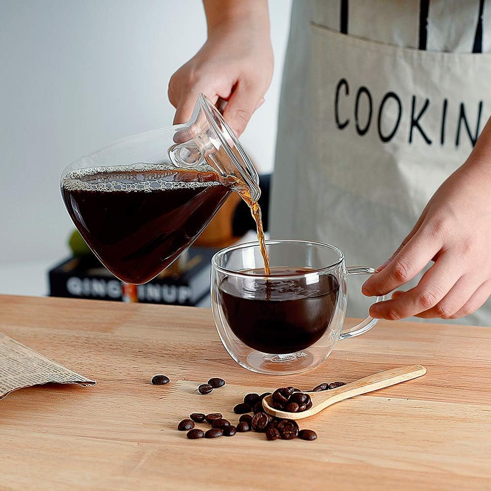 CNGLASS Double Wall Glass Cappuccino Mugs 8.1oz,Clear Insulated Glass Coffee Mug with Handle for Espresso,Latte,Tea,Set of 2