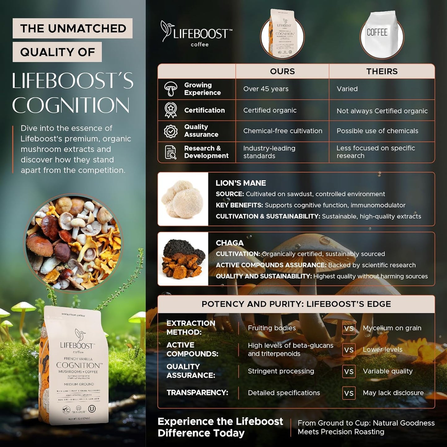 Lifeboost French Vanilla Cognition Mushroom Coffee - Low Acid Medium Organic Coffee with Nootropic Lions Mane & Chaga Mushrooms - Increase Energy, Boost Focus & Immune Support - 12 oz Bag - Ground
