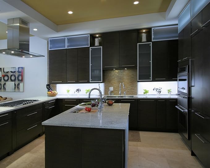 LED Hardwire Kitchen Kit - Ten Cool White Designer Series Panels - LED Dimming System