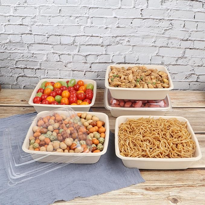 34 oz Square Disposable bowls with lids,Sugarcane Fibers Bowls take away food containers Plant Fibers Freezer Safe 25 Pack